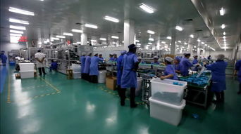 融會貫通 工廠車間6S管理與酒店管理的協(xié)同之道